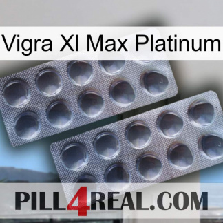 Vigra Xl Max Platinum 31